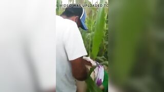 Baba Romanca Fututa In Porumb