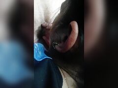 Curva Sunata La Telefon In Timp Ce Face Muie