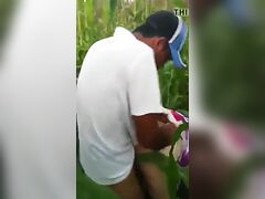 Romanca Matura Fututa In Porumb